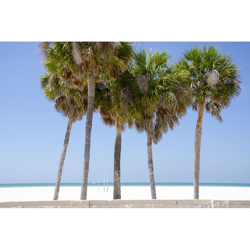 Coastal Palms I - Wrapped Canvas Print, Wrapped Canvas, 61 cm H x 91 cm W