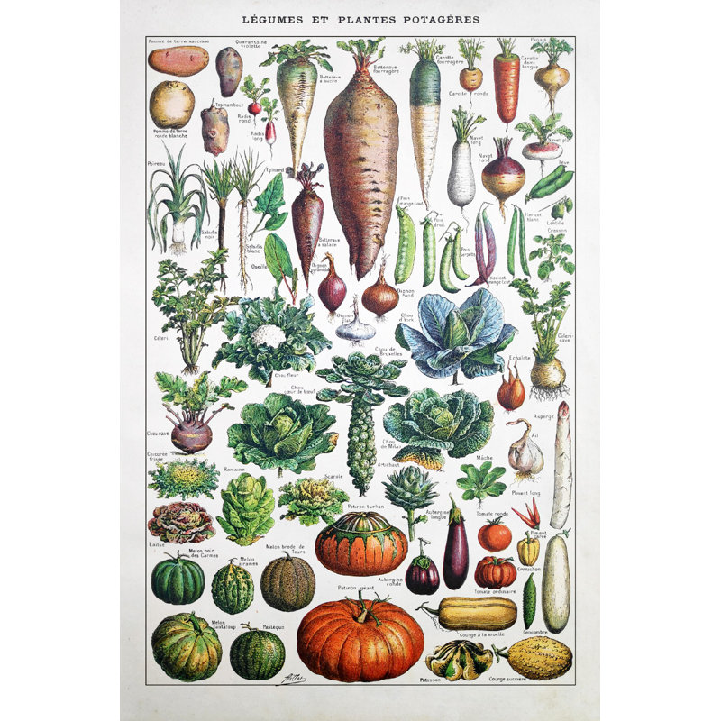 "Jardin de légumes" par Gwengoat - impression sur toile tendue, L 8 po x H 12 po