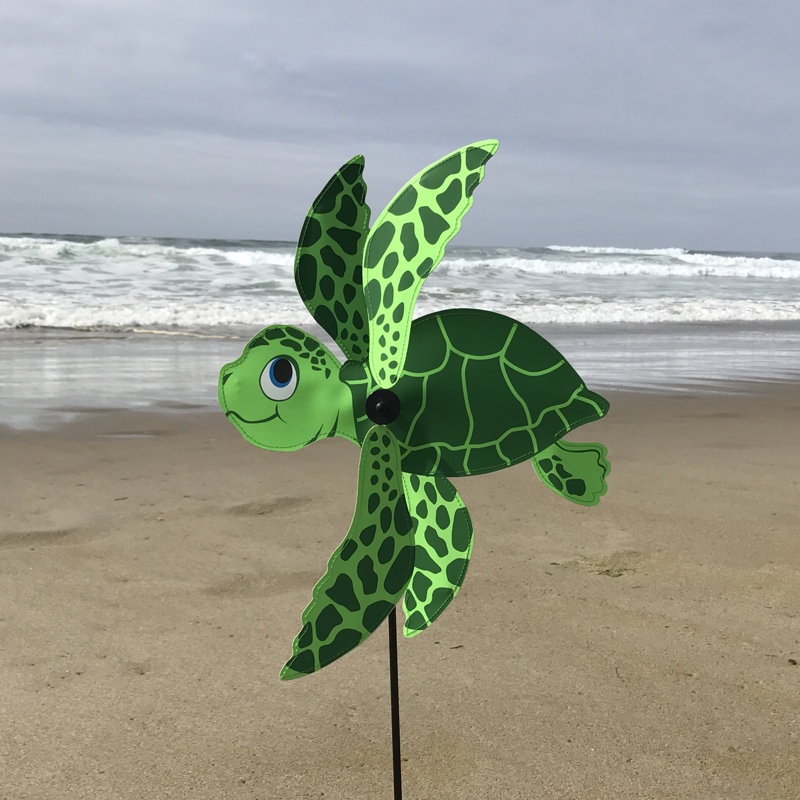 Tortue de mer bébé tourbillon