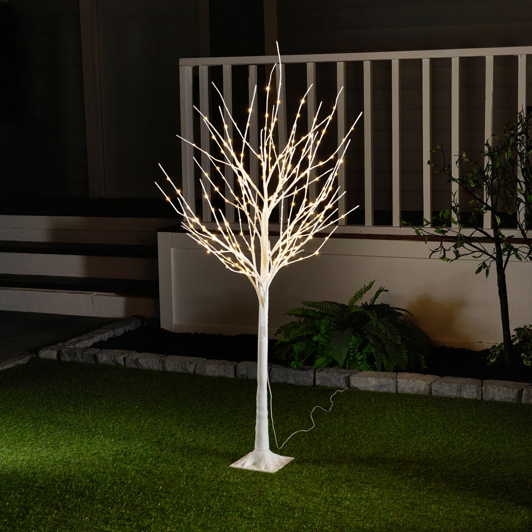 60in Medium Copper Wire Birch Tree with 268 Warm White LED Lights Hi-Line Gift Ltd.