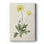 Fleurs des Saisons - galerie Cavas-118067317