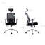 Symple Stuff Executive Chair with Headrest-38961378