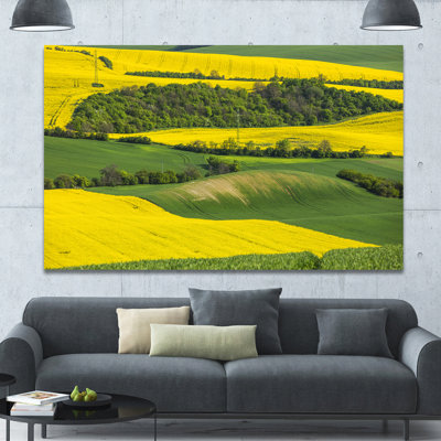" Rapeseed Fields And Green Wheat "