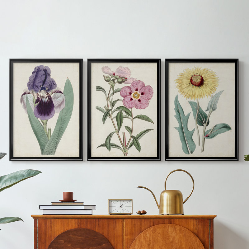 Garden Gems VII - Toile tendue avec châssis sur mesure - 3 pièces, H 15 po x l 19 po, Noir