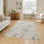Mirage Daedra Machine Woven Grey Area Rug-1576524289