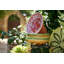 Amalfi Pasta Bowl - Pink - 9.1"-1508715189