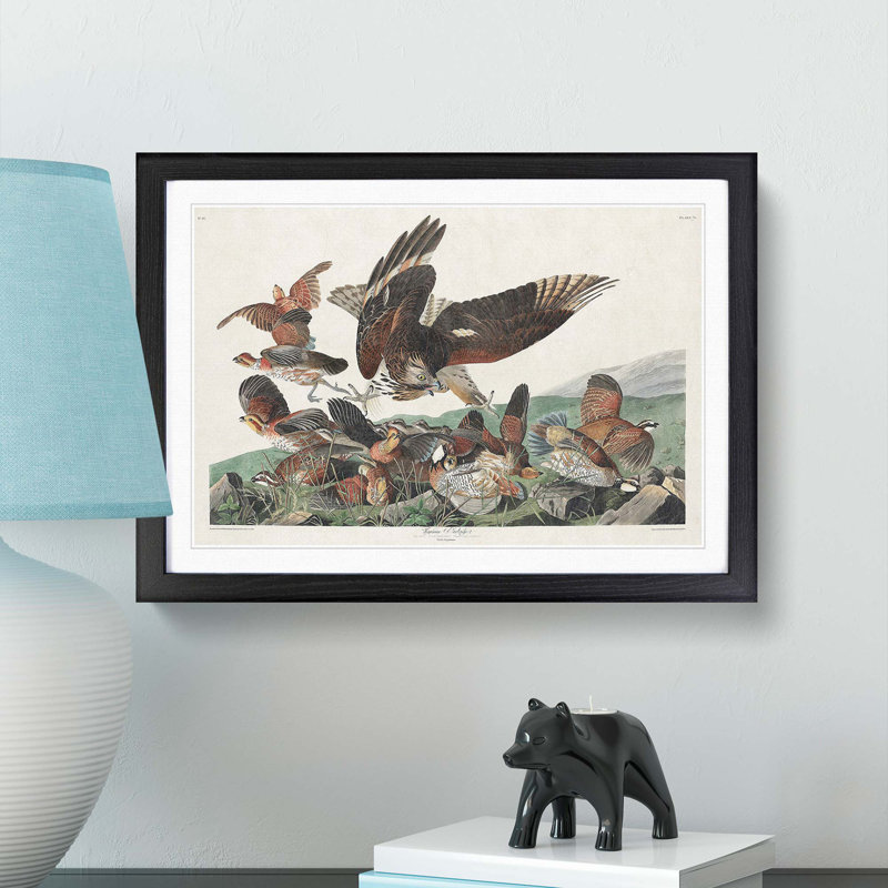 Virginia Partridges by John Audubon - Picture Frame Painting Print, 27cm H x 36cm W x 2cm D, Black Framed