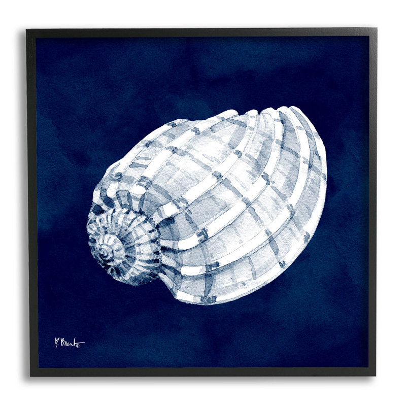 Illustration côtière des coquilles de cyanorphe par Paul Brent - peinture sur bois, Giclée encadrée noir minuit