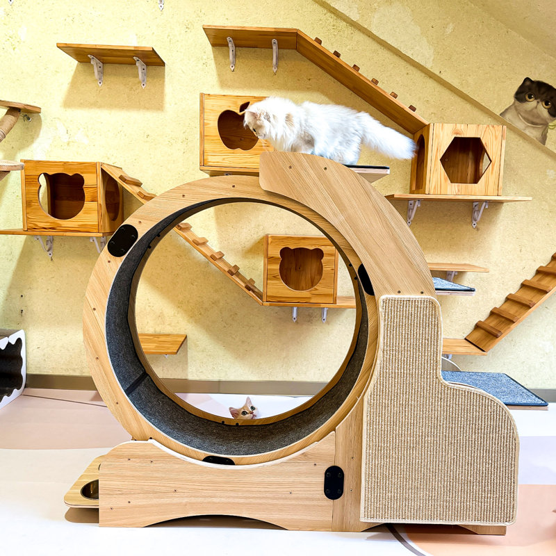 Dynamic Exercise Wheel Natural Wood Modern Indoor Cat Playground