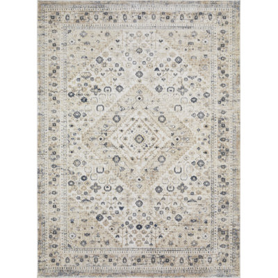 Aldoyn Oriental Indoor Rug