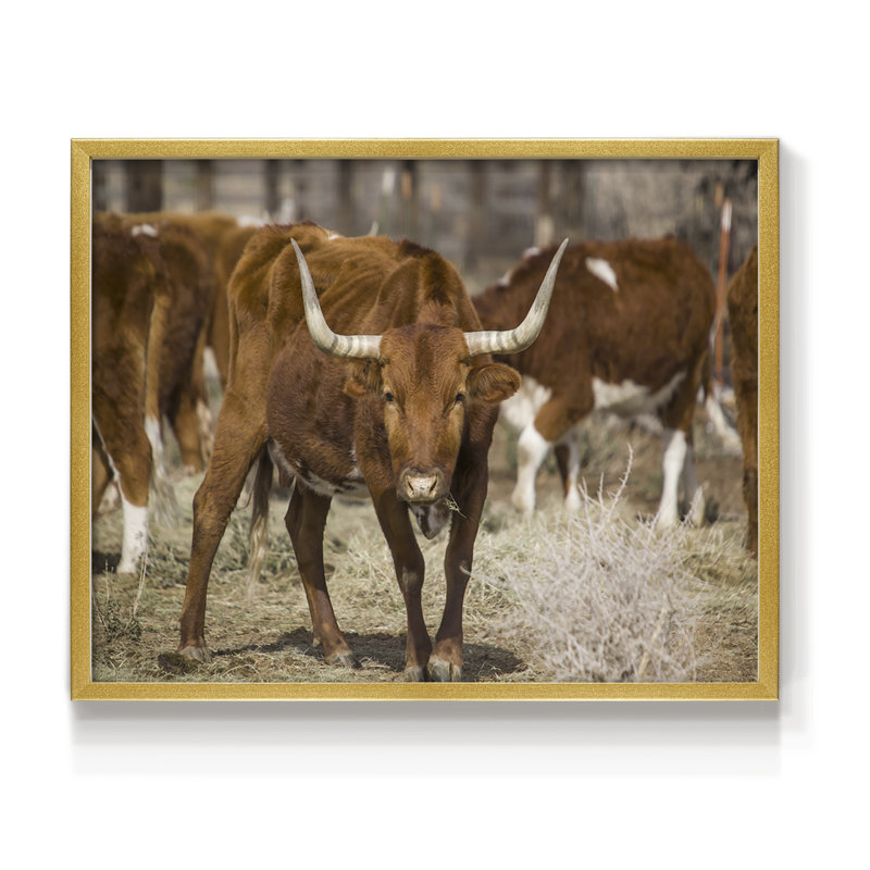 Longhorns -Framed Print - Restickable