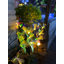 Butterfly solar courtyard ground mounted lights