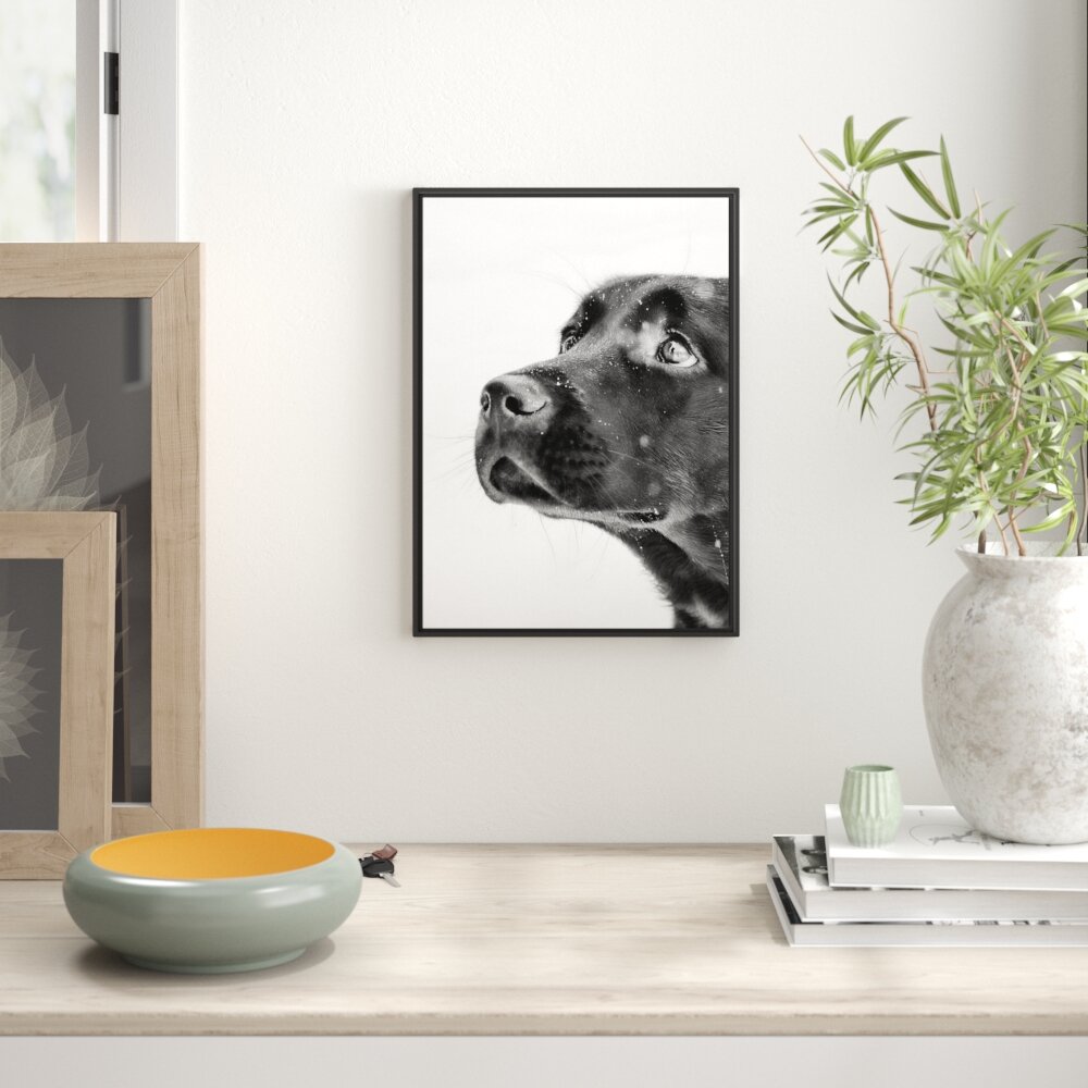 Schwarzer Labrador Gerahmter Fotokunstdruck