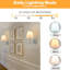 Armed Sconce
