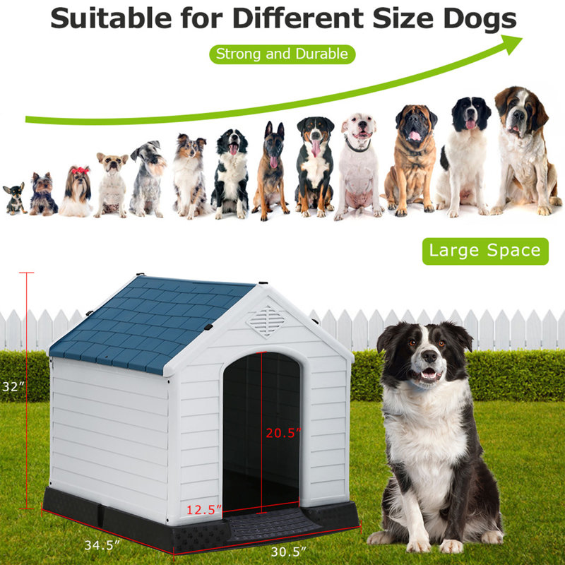 Niche pour chien Lapp