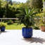 Pot de fleurs rond en céramique de 40 cm (16 po), grand pot intérieur/extérieur avec trou de drainage - Bleu foncé