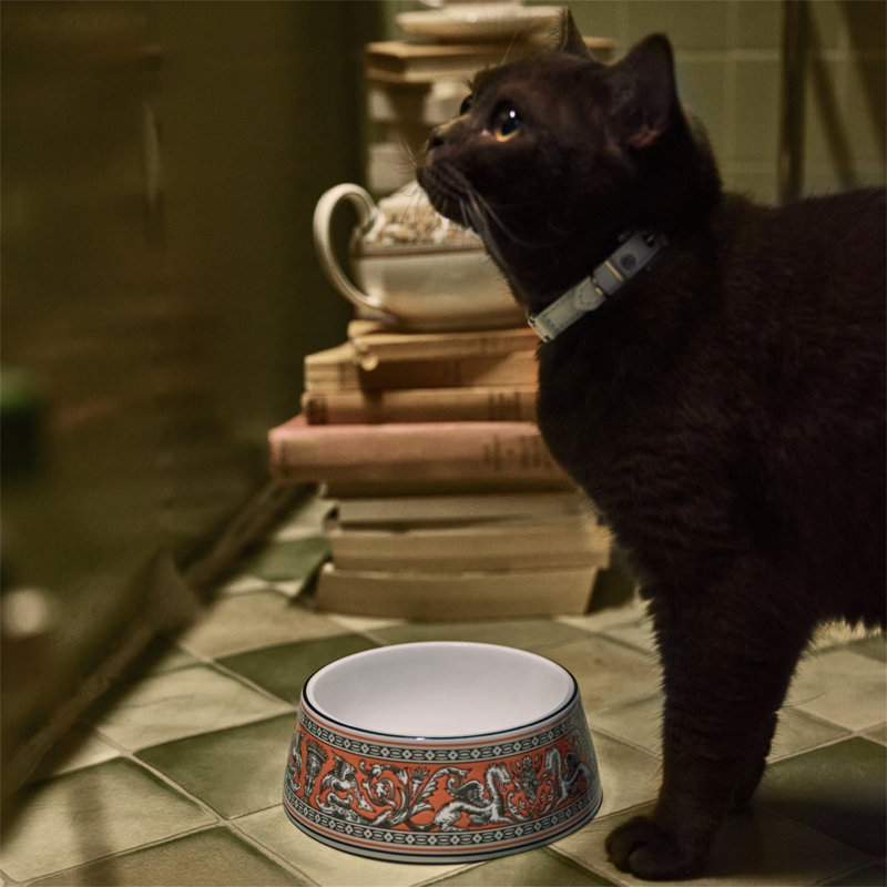 Florentine Turquoise Pet Bowl 17cm 6.6in, Orange