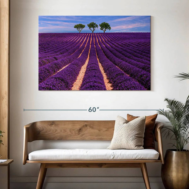 Rangées de lavande Alvord Provence Summer, H 32 po x l 48 po