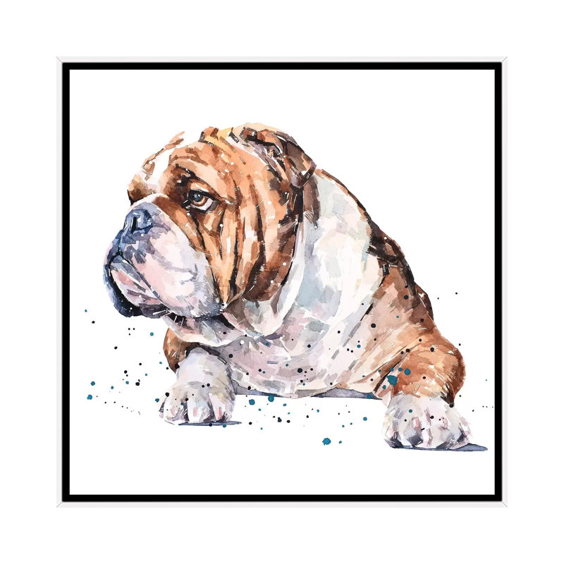 "English Bull Dog I" par Edwatercolours-impression, Toile blanche encadrée, Pas de tapis, H 18 po x l 18 po x 1,5 po