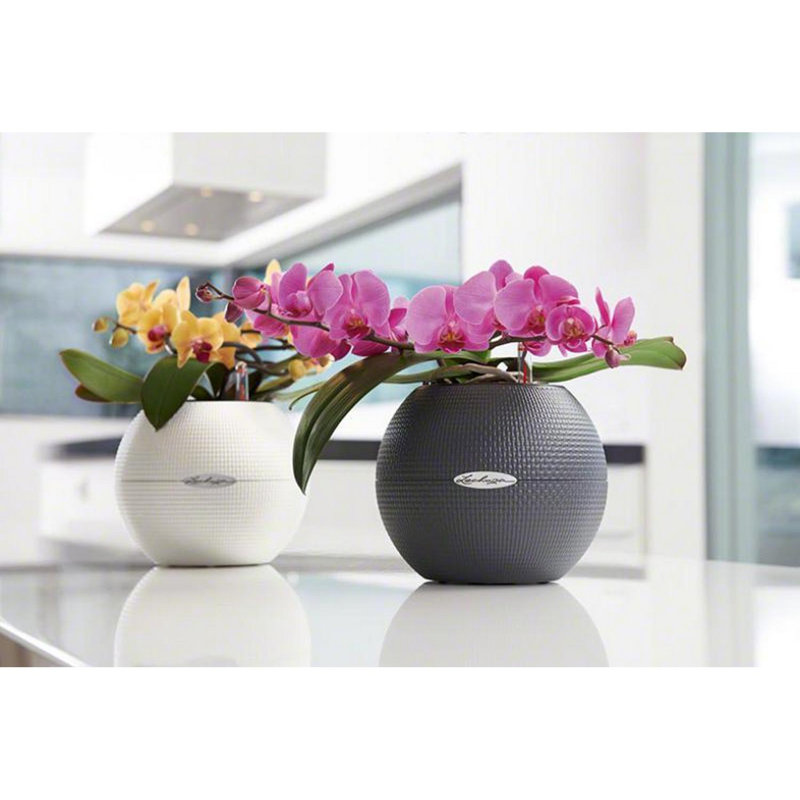 Pot Planter, 16 cm H x 20 cm W x 20 cm D, White