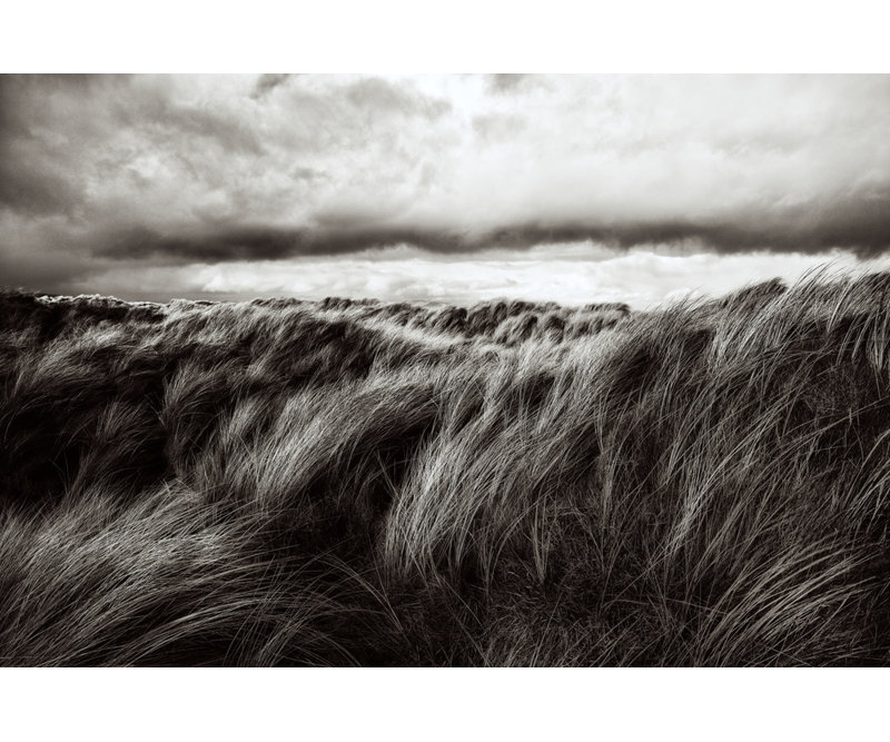 Wrapped Canvas Print, 50.8 cm H x 76.2 cm W