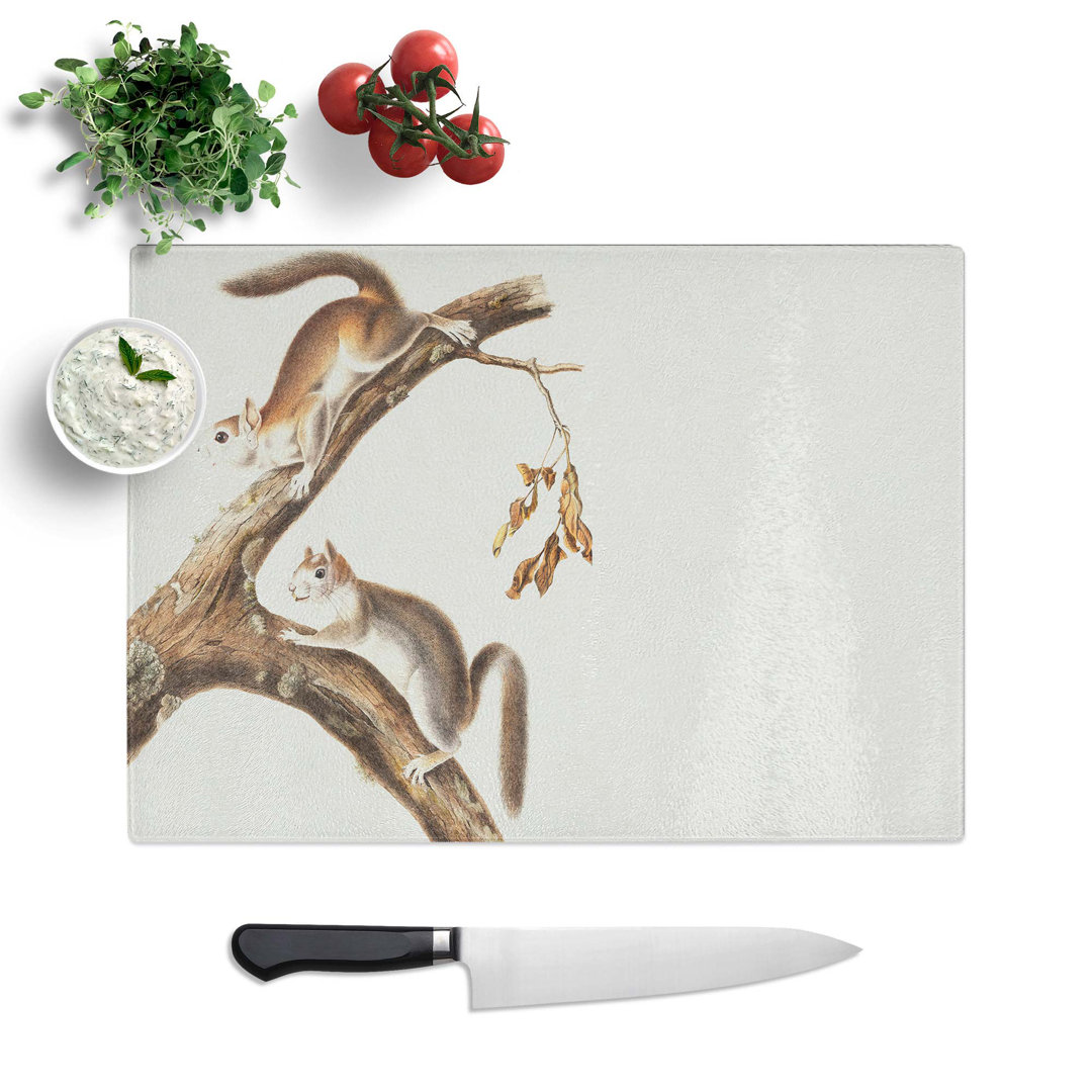 Glass Downy Squirrels by J.W. Audubon Chopping Board