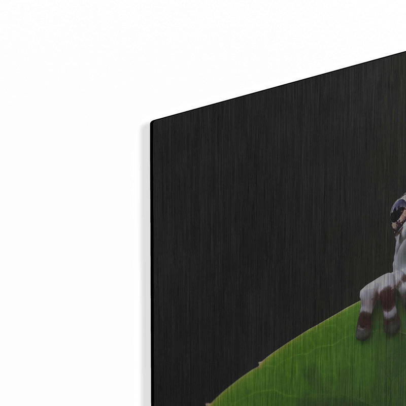 Art mural en métal Latitude Run® «Peekaboo» par Epic Portfolio, H 12 po x l 16 po