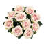 Grand rosier Jaafer Deluxe-815720982