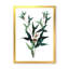 Feuilles de plantes - reproduction d'art sur toile-59637879-59637883