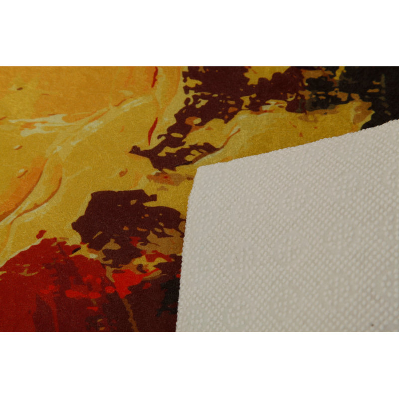 Soft Hall Carpet 2.6 x 4.9 Feet | 100% Polyester, 0.04 in Pile Height | Antibacterial, Non-Slip Underside | Woven with 3D Digital Printing | Machine Washable | Durable & Stylish for Entryways & Living Rooms