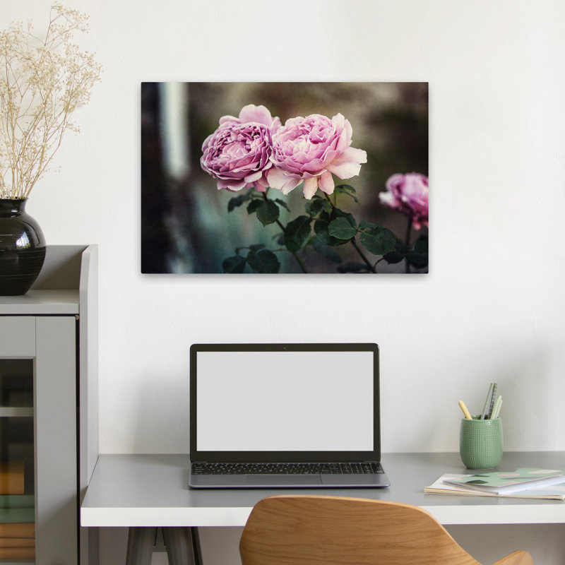 Plantes, fleurs, roses écossaises, art mural, H 16 po x l 24 po