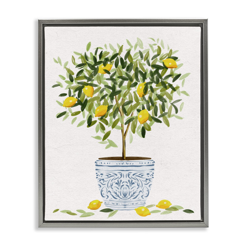 Pot à fleurs Lemon Tree, H 31 po x l 25 po, Cadre flottant gris lustré