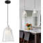 1 - Light Matte Black Caged Pendant-400256701