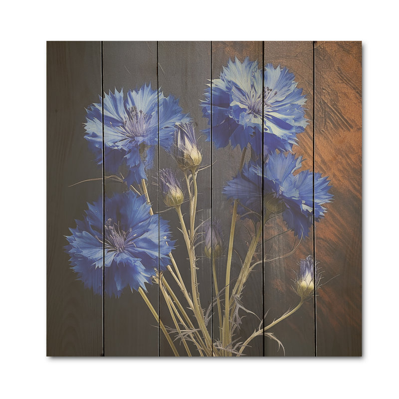 Bleuet des bois, expression bleue I - Art mural en bois sur bois de pin naturel, H 36 po x l 36 po