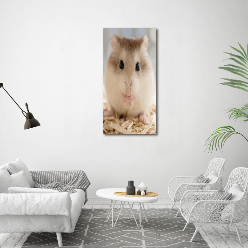 Hamster - Wrapped Canvas Print