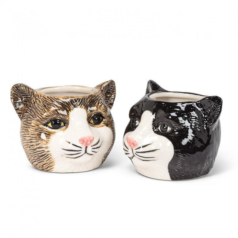Petit pot à fleurs pour chat tigré, Brun, blanc