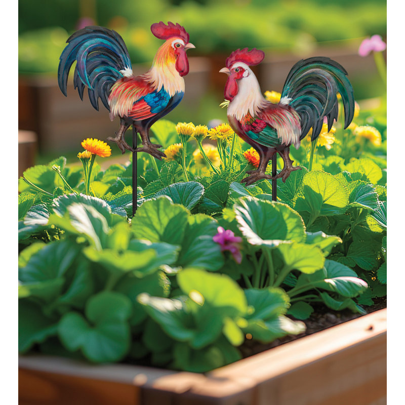 Rooster Plant Pick Set/2