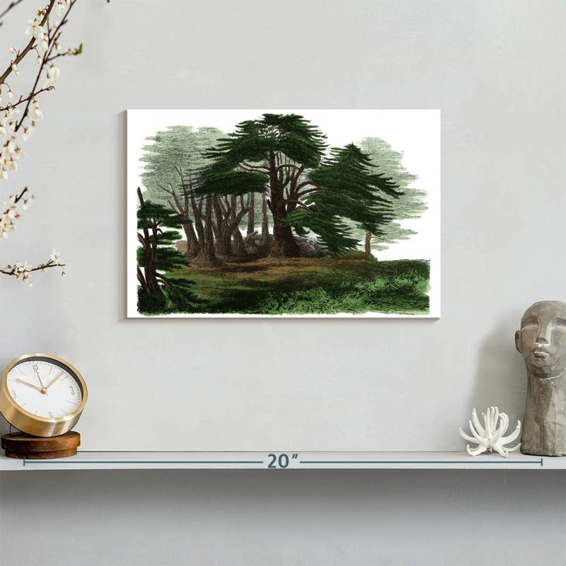Lebanese Cedar Trees, 8" H x 12" W