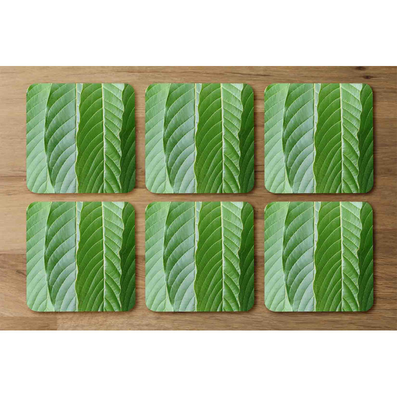 Derlyum Square 6 Piece Coaster Set