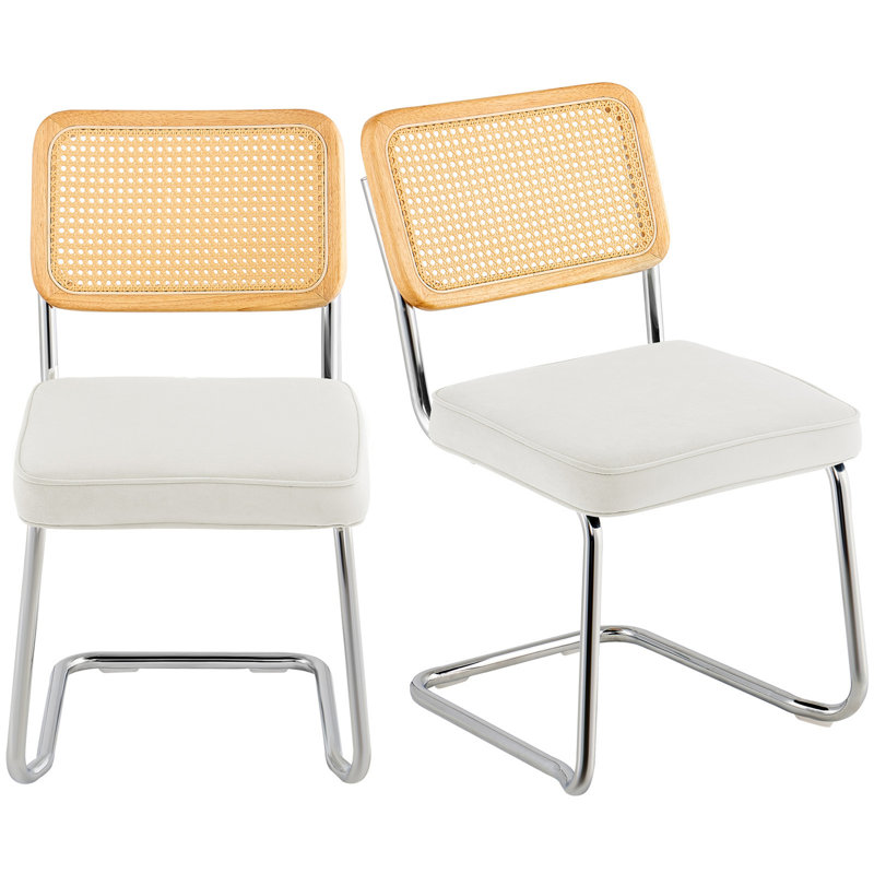 Ensemble de 2 chaises en rotin, Argent, Blanc