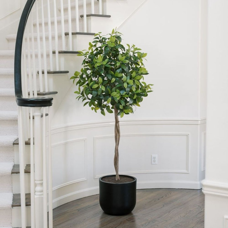 6' Artificial Laurel Tree