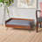 DOG BED