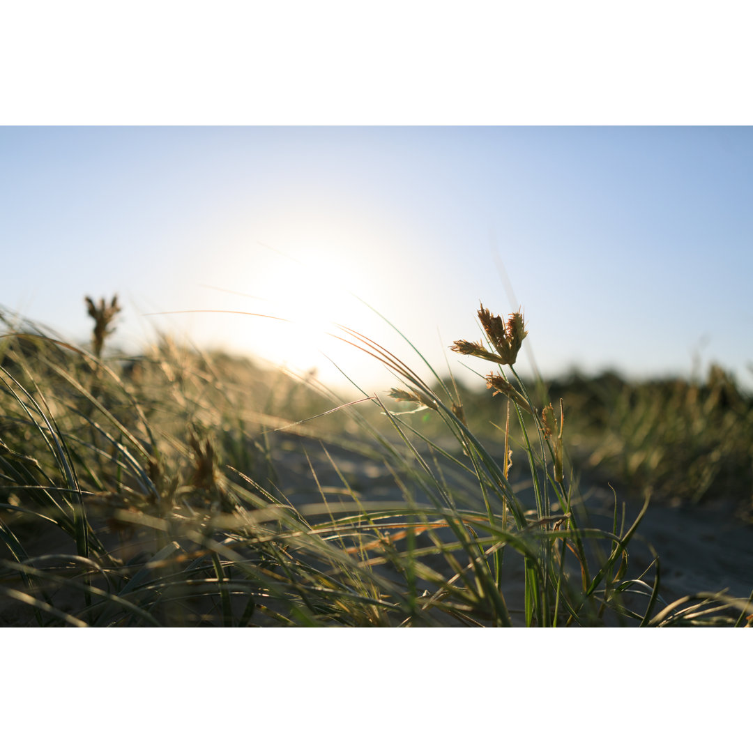 Sonnenuntergang über Sanddünen von Thurtell - Fotodruck