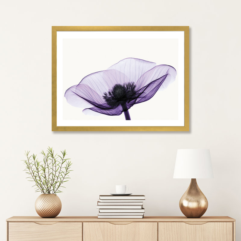 «Anemone II» par Robert Coop - reproduction de photo, H 24 po x l 32 po x P 1 po, Papier encadré doré