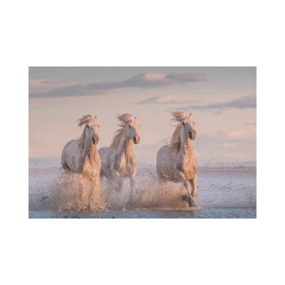 White Angels Of Camargue XXXVI by Daniel Kordan - Wrapped Canvas Print