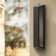1 -Light 16.3''H Iron Led Wall Light with Dusk to Dawn