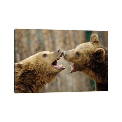 Fight 1 Piece Wrapped Canvas Wall Art