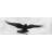 Crow in Flight | Black & White Framed Canvas for Home Decor
