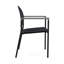 Chaise d'invité Chat Chat-98671417-98881973