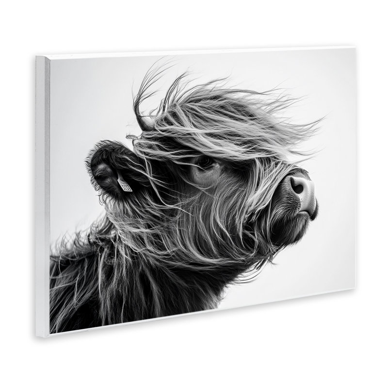 Plaque murale Handsome Highland Portrait, design par Tina LeCour, 10" H x 15" W